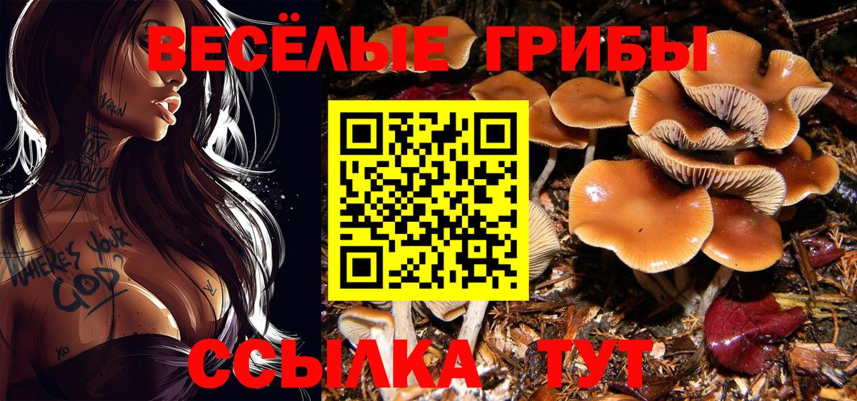 Чита  Галлюциногенные грибы мухоморы  Вход с VPN 