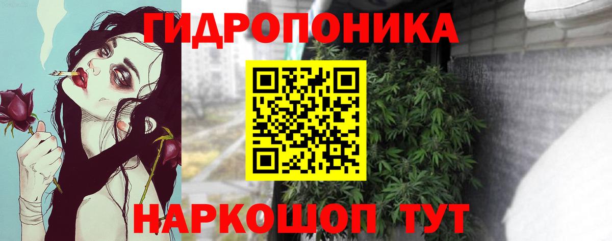 Чита  Бошки Шишки VHQ  Вход с VPN  Канабис планчик  Конопля MAZAR 